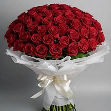 Букет 101 Красная роза Блэк Мэджик в Кокуй