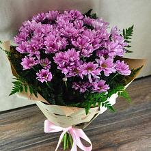 Букет цветов из:  Хризантемы #REPLACE_PRED# Кокуй