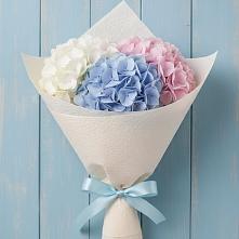 Букет цветов из:  Гортензия в Кокуй