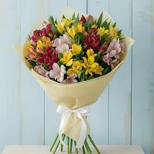 Букет цветов из:  Альстромерии в Кокуй