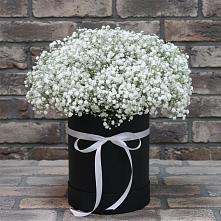 Цветочная композиция из Гипсофила в шляпной коробке #REPLACE_PRED# Кокуй