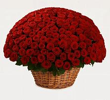 Премиум букет из: Розы в Кокуй